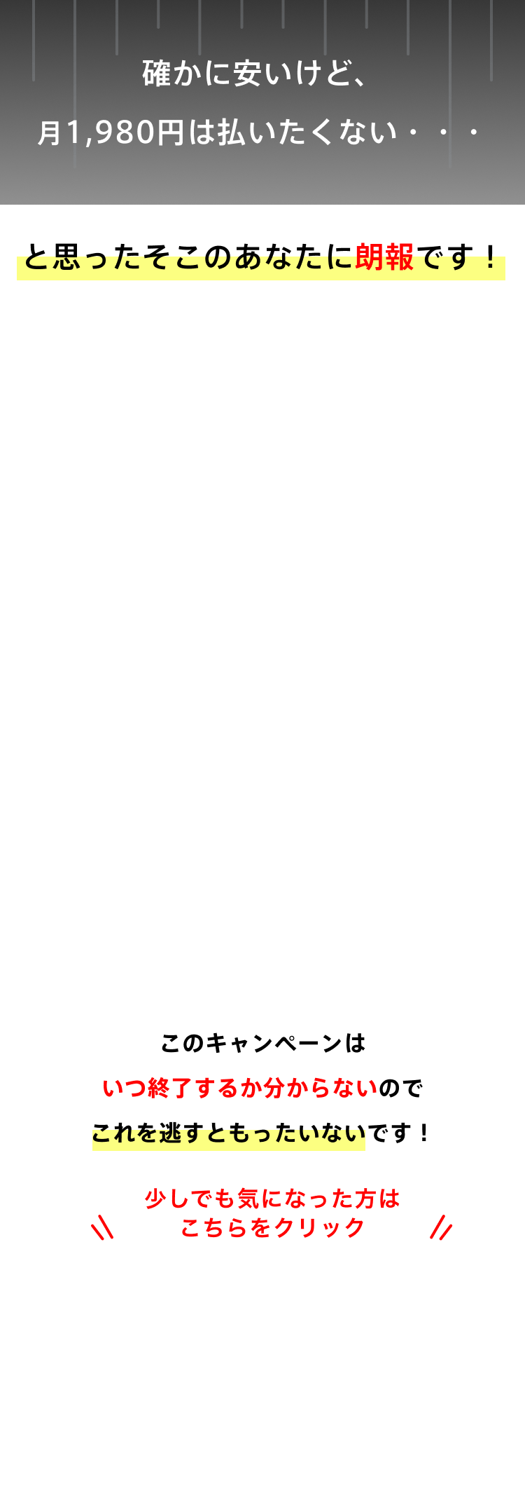 確かに安いけど、 月1,980円は払いたくない・・・
